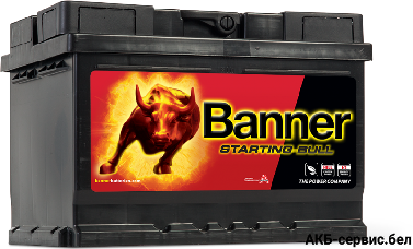 Banner Starting Bull 560 09