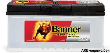 Banner Power Bull PROfessional PRO P100 40