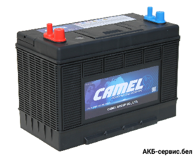 Camel DC31