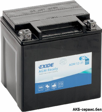Exide AGM SLA12-31