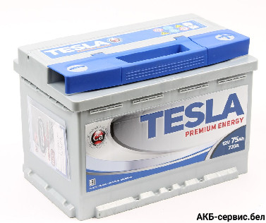 Tesla Premium Energy 75 R