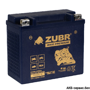 Zubr Bike Premium YT20L-4