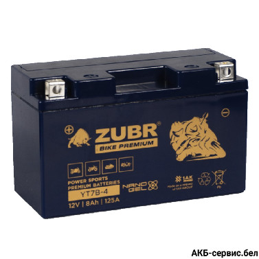 Zubr Bike Premium YT7B-4