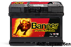 Banner Starting Bull 555 19