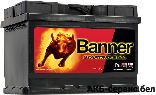 Banner Starting Bull 560 09