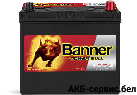 Banner Power Bull P45 23
