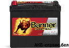 Banner Power Bull P45 24