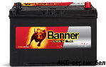 Banner Power Bull P95 04