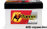 Banner Power Bull PROfessional PRO P77 40