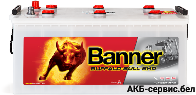Banner Buffalo Bull SHD SHD 725 11