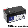 Mercedes N000000004039  1.2Ah