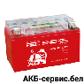 Red Energy RE 12-07 AGM