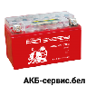 Red Energy RE 12-08 AGM