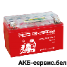 Red Energy RE 12-10.1 AGM