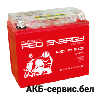 Red Energy RE 12-201 AGM