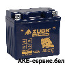 Zubr Bike Premium YTZ7S